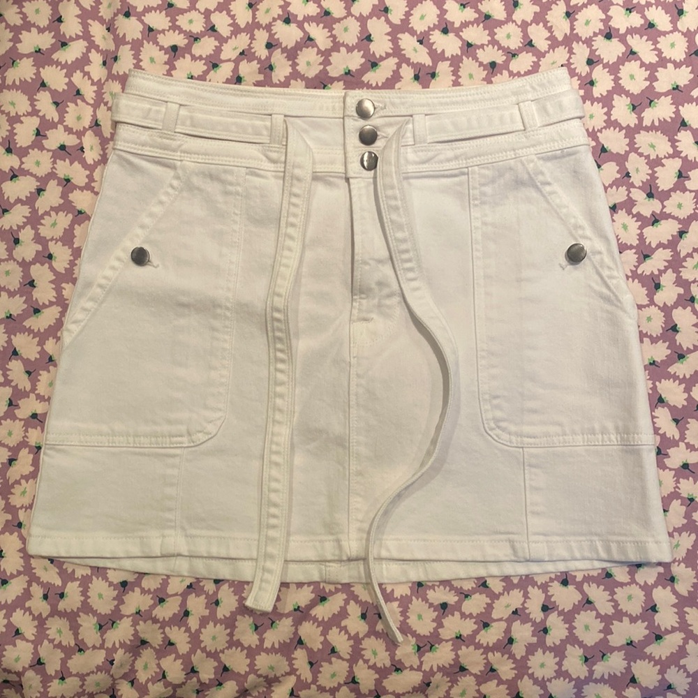 Frame Denim Mini Skirt